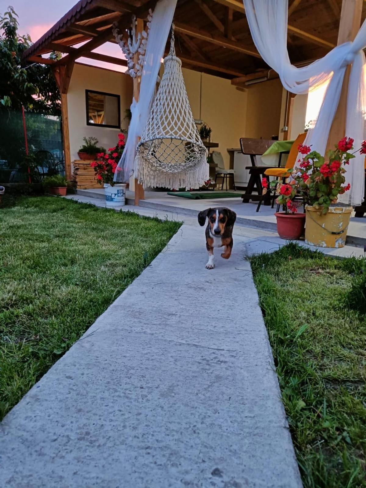 Hotel Casa Enka Tuzla Esterno foto